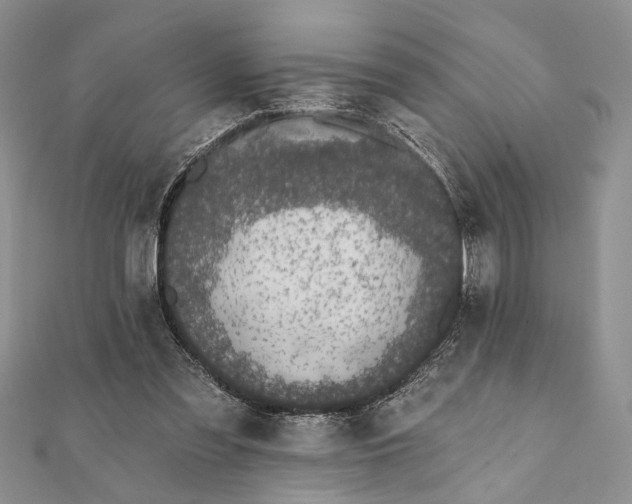 X0000112060301200908181204