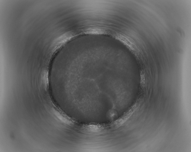 X0000112060302200908181204