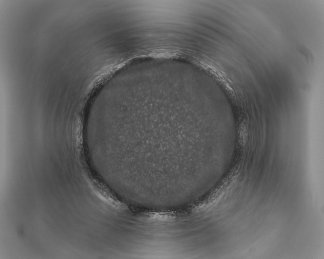 X0000112060303200908181204