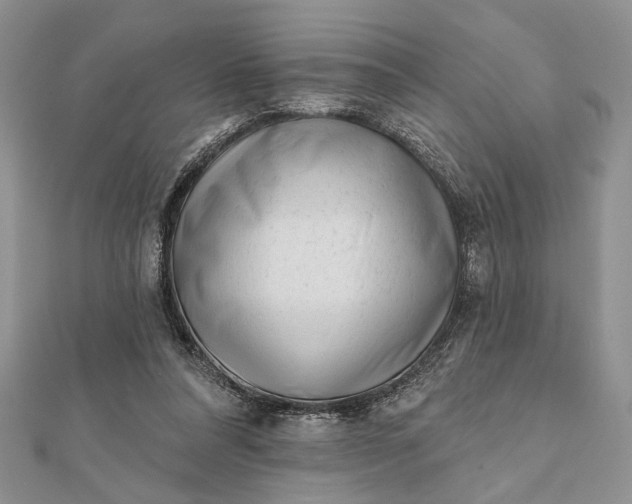 X0000112060304200908181204