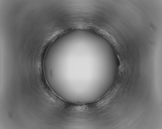 X0000112060306200908181204