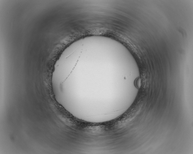 X0000112060307200908181204