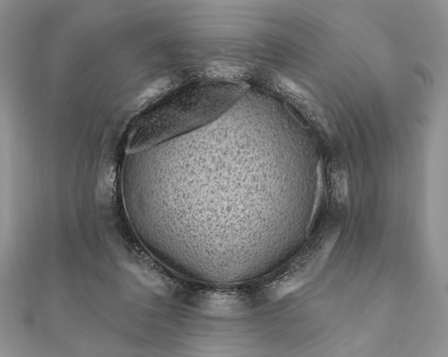 X0000112060308200908181204