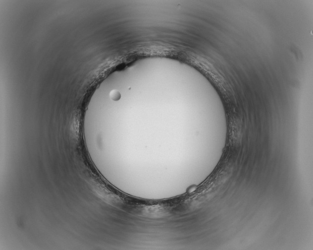 X0000112060309200908181204