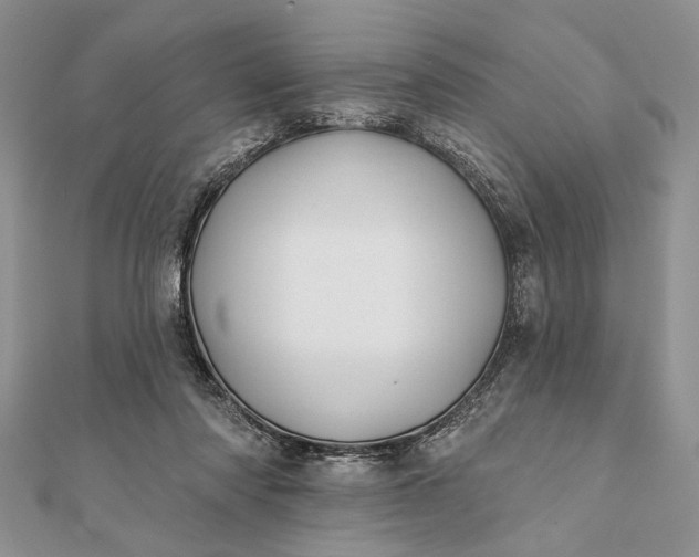 X0000112060310200908181204