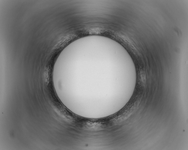 X0000112060311200908181204