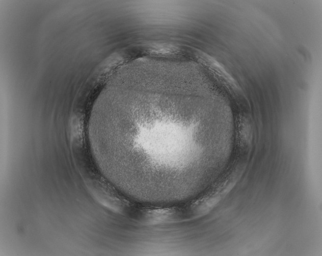 X0000112060312200908181204