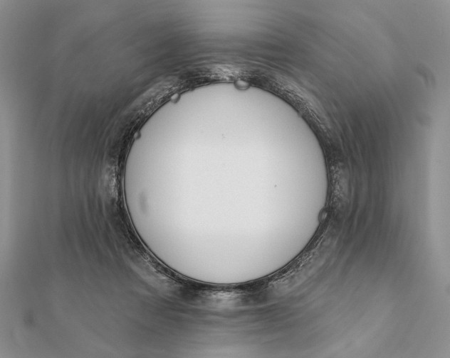 X0000112060313200908181204