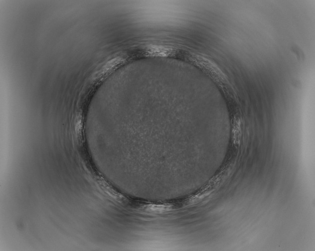 X0000112060314200908181204