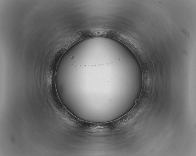 X0000112060315200908181204