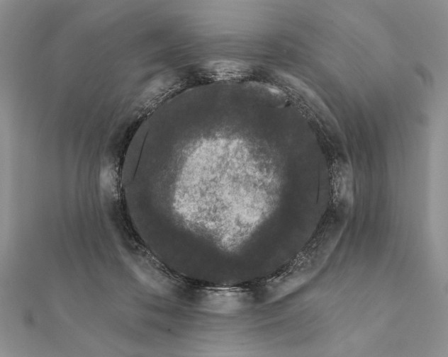 X0000112060316200908181204