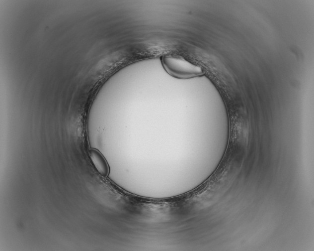 X0000112060317200908181204