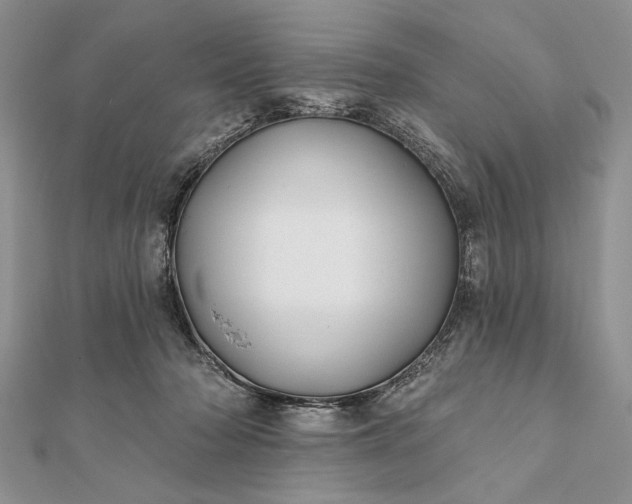 X0000112060318200908181204