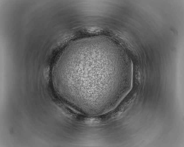 X0000112060319200908181204