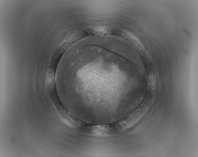 X0000112060320200908181204