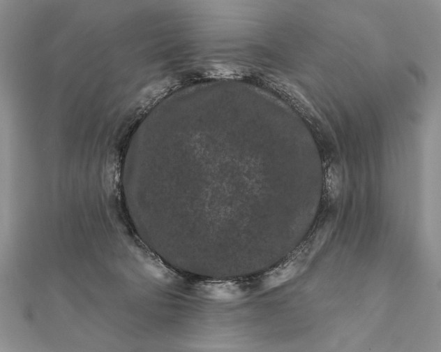 X0000112060322200908181204