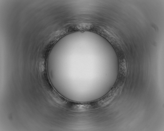 X0000112060323200908181204