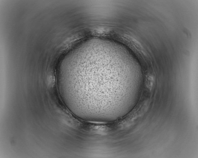 X0000112060324200908181204