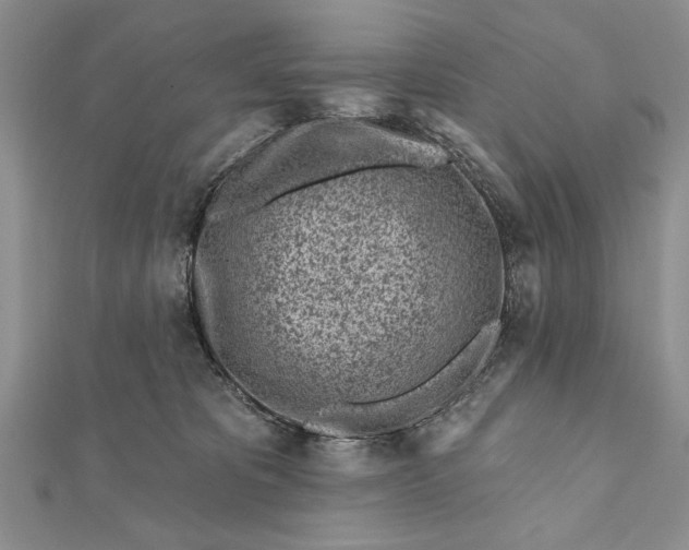 X0000112060325200908181204