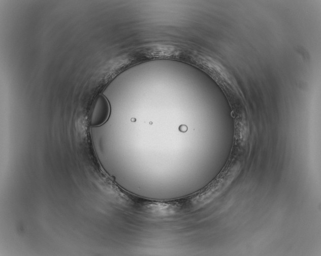 X0000112060326200908181204