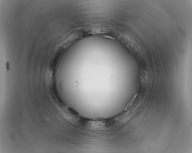 X0000112060327200908181203