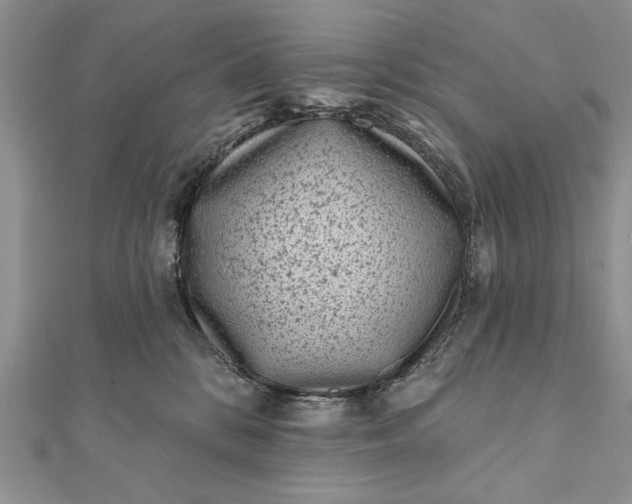 X0000112060328200908181203