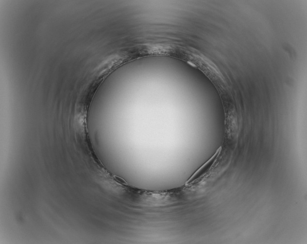 X0000112060329200908181203