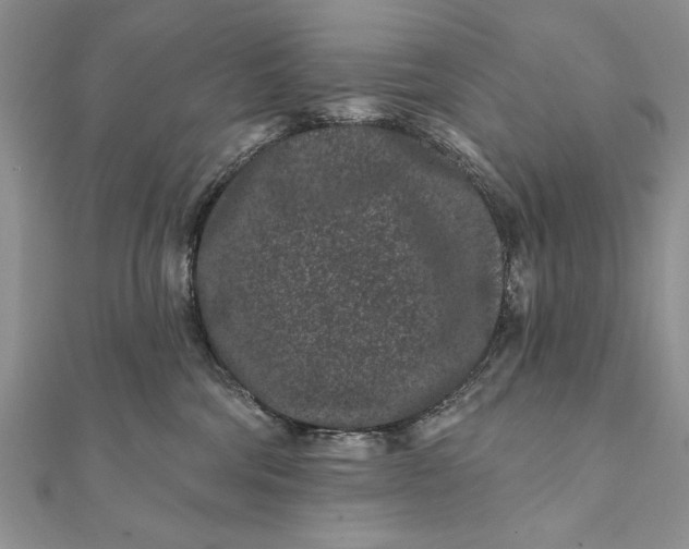 X0000112060330200908181203