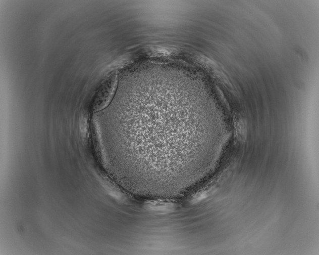 X0000112060331200908181203