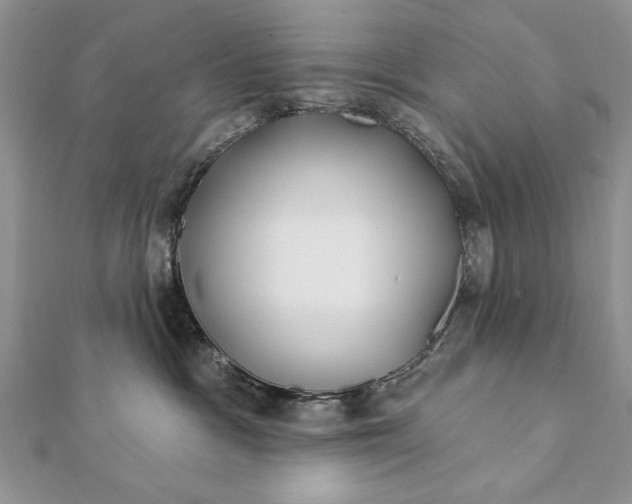 X0000112060333200908181203