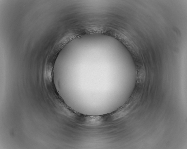 X0000112060334200908181203