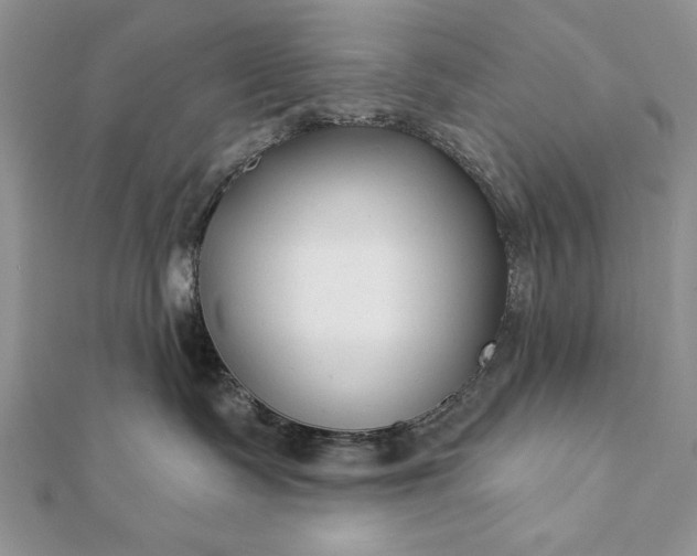 X0000112060335200908181203