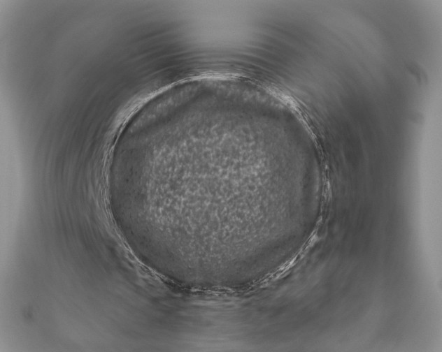 X0000112060337200908181203