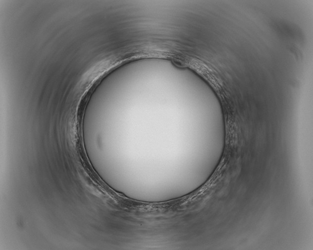 X0000112060338200908181203