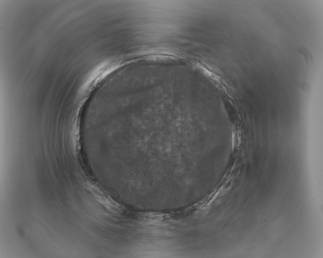 X0000112060339200908181203