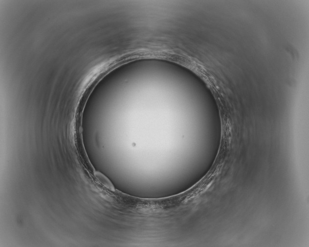 X0000112060340200908181203