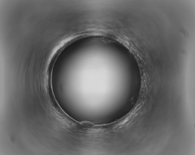 X0000112060342200908181203