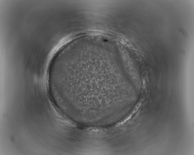 X0000112060343200908181203