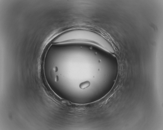 X0000112060344200908181203