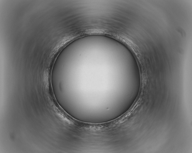 X0000112060345200908181203