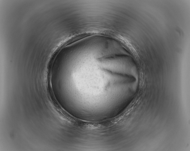 X0000112060346200908181203