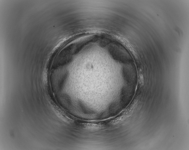 X0000112060347200908181203