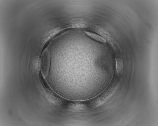 X0000112060348200908181203