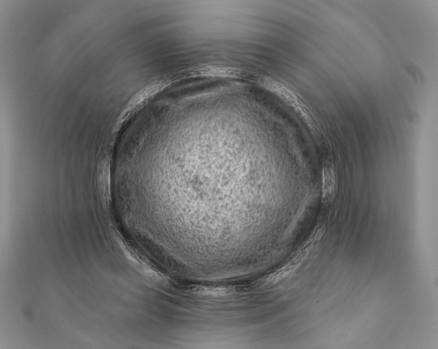 X0000112060349200908181203