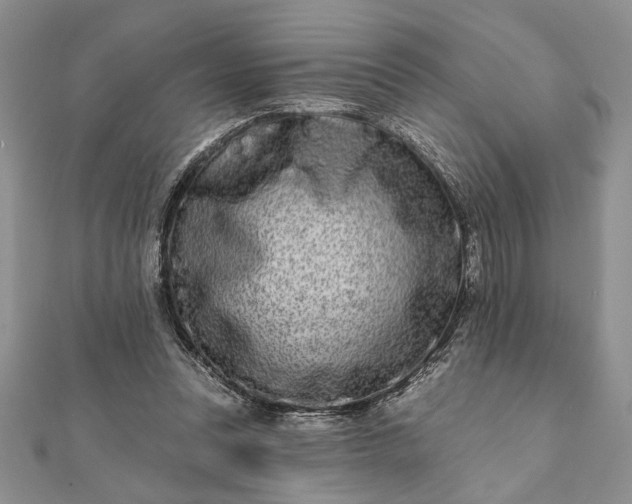 X0000112060351200908181203