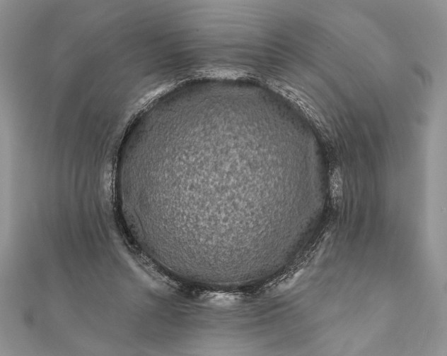 X0000112060352200908181203