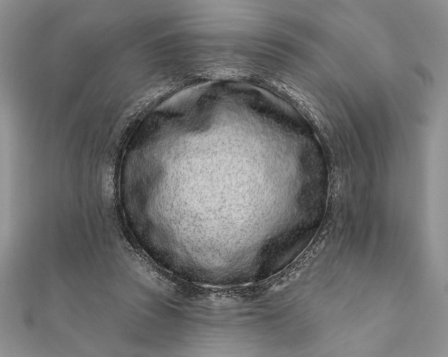 X0000112060353200908181203