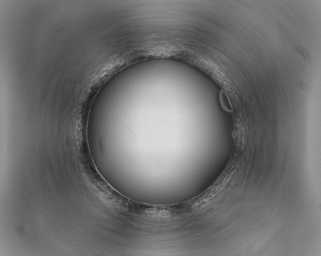 X0000112060354200908181203