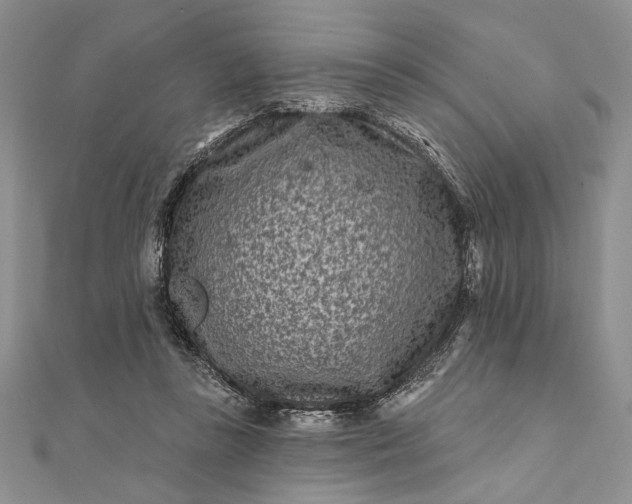 X0000112060355200908181203