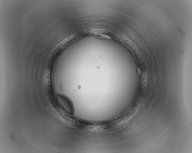 X0000112060356200908181203